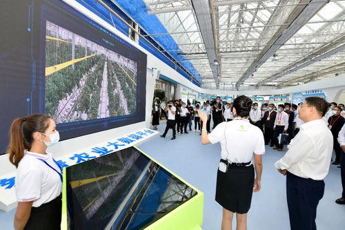 国际范科技风 兰洽会上兰州新区hin 吸睛