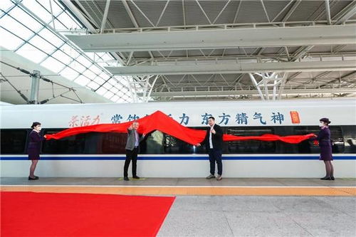 茶活力 健康饮品新风尚，开启活力新征程——启黄中学的探索与实践