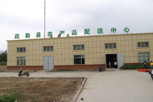 疏勒电商中心联合莲菜网投资启动农产品配送中心装修，助力启黄中学发展