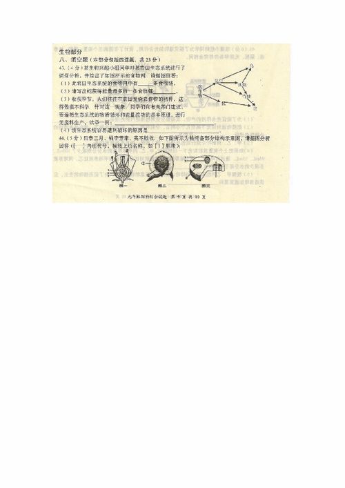 黄冈市启黄中学2015-2016学年九年级下学期入学考试生物试题分析及备考指导